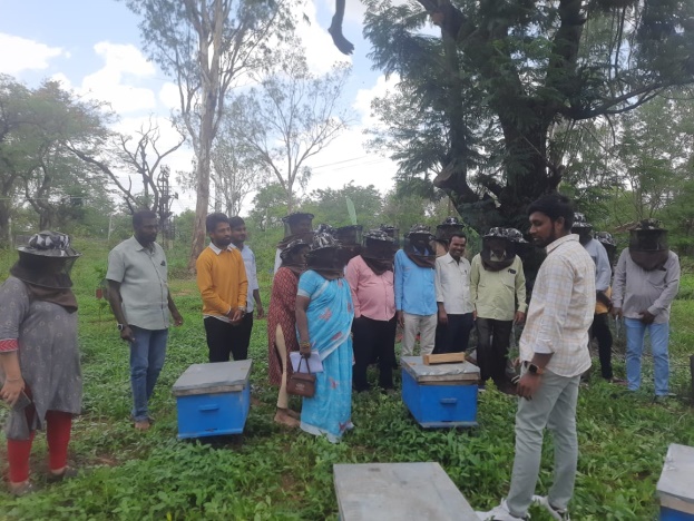 Participants in protective veils learning to handle bee boxes